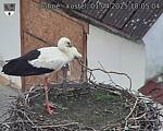 Capi_Dubne_20250401_180504.jpg