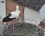 Capi_Dubne_20250401_181004.jpg