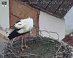 Capi_Dubne_20250401_181502.jpg