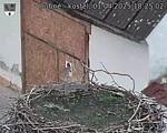 Capi_Dubne_20250401_182502.jpg