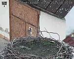 Capi_Dubne_20250401_183504.jpg