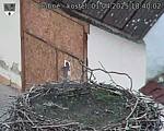 Capi_Dubne_20250401_184002.jpg
