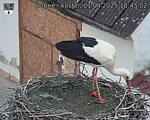 Capi_Dubne_20250401_184502.jpg