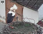 Capi_Dubne_20250401_185003.jpg