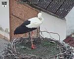 Capi_Dubne_20250401_185502.jpg