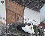 Capi_Dubne_20250401_190503.jpg