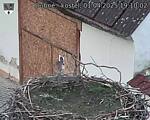 Capi_Dubne_20250401_191002.jpg