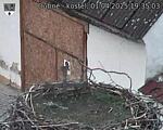 Capi_Dubne_20250401_193503.jpg