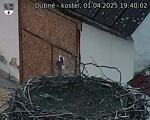 Capi_Dubne_20250401_194002.jpg
