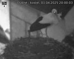 Capi_Dubne_20250401_200003.jpg