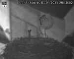 Capi_Dubne_20250401_201002.jpg