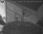 Capi_Dubne_20250401_202003.jpg