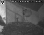 Capi_Dubne_20250401_205003.jpg