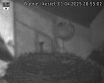 Capi_Dubne_20250401_205502.jpg