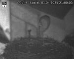 Capi_Dubne_20250401_210003.jpg