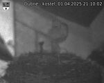 Capi_Dubne_20250401_211002.jpg