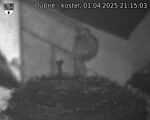 Capi_Dubne_20250401_211503.jpg
