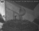 Capi_Dubne_20250401_212003.jpg