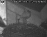 Capi_Dubne_20250401_212502.jpg