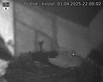 Capi_Dubne_20250401_220002.jpg