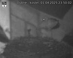 Capi_Dubne_20250401_235002.jpg