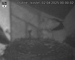 Capi_Dubne_20250402_000002.jpg