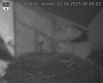 Capi_Dubne_20250402_000502.jpg
