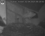 Capi_Dubne_20250402_002002.jpg