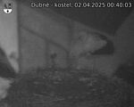 Capi_Dubne_20250402_004003.jpg