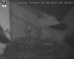 Capi_Dubne_20250402_011003.jpg