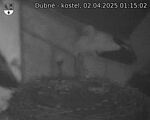 Capi_Dubne_20250402_011502.jpg