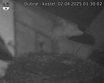Capi_Dubne_20250402_013002.jpg