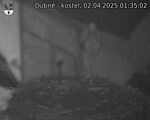 Capi_Dubne_20250402_013502.jpg