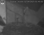Capi_Dubne_20250402_014502.jpg