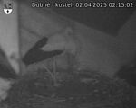 Capi_Dubne_20250402_021502.jpg