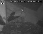 Capi_Dubne_20250402_031002.jpg