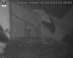 Capi_Dubne_20250402_032003.jpg