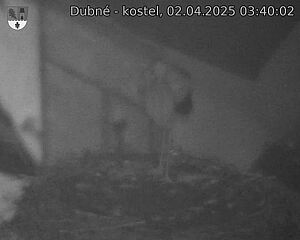 Capi_Dubne_20250402_034002.jpg (1350 x 1080)