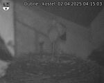 Capi_Dubne_20250402_041503.jpg