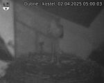 Capi_Dubne_20250402_050003.jpg