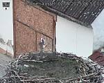Capi_Dubne_20250402_065002.jpg