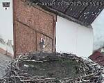Capi_Dubne_20250402_065503.jpg