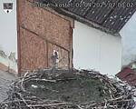 Capi_Dubne_20250402_070002.jpg