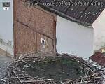 Capi_Dubne_20250402_074002.jpg