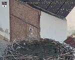 Capi_Dubne_20250402_074504.jpg