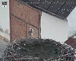 Capi_Dubne_20250402_075503.jpg