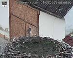 Capi_Dubne_20250402_080002.jpg