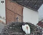 Capi_Dubne_20250402_081502.jpg