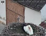 Capi_Dubne_20250402_082004.jpg