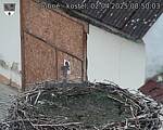 Capi_Dubne_20250402_085003.jpg